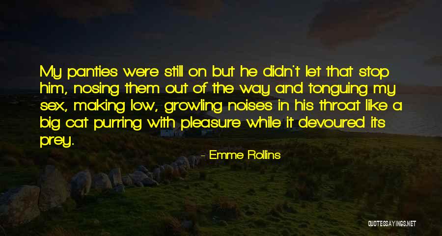 Big Panties Quotes By Emme Rollins