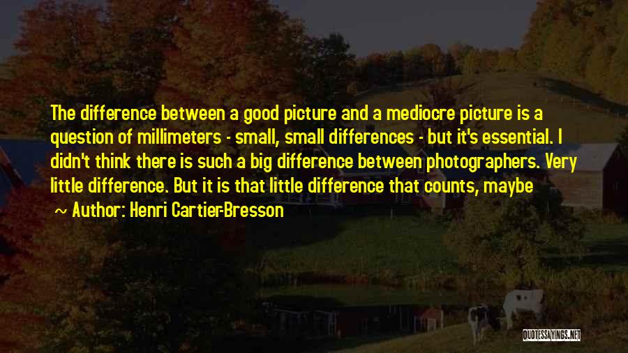 Big Picture Thinking Quotes By Henri Cartier-Bresson