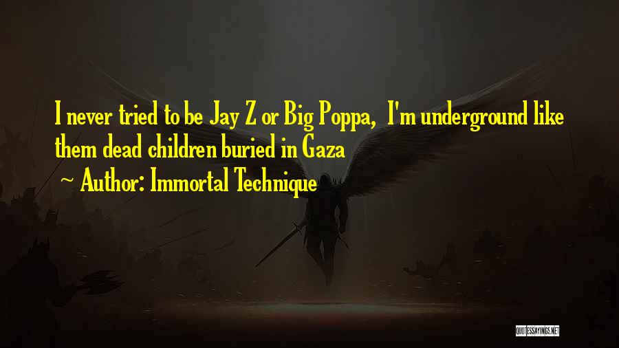Big Poppa Quotes By Immortal Technique