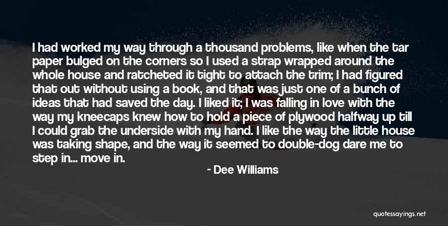 Big Problems Quotes By Dee Williams