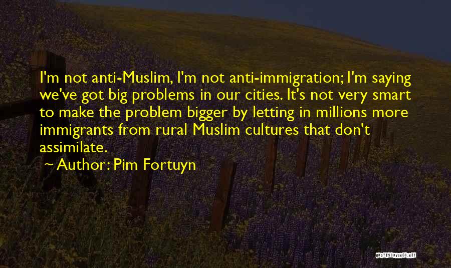 Big Problems Quotes By Pim Fortuyn