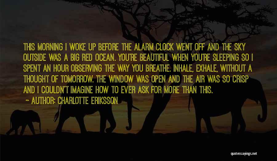 Big Red Book Quotes By Charlotte Eriksson