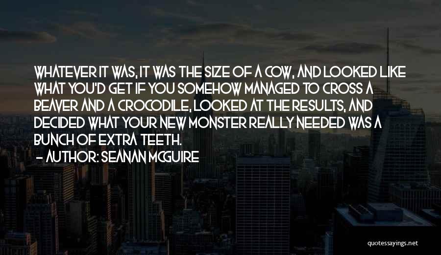Big Results Quotes By Seanan McGuire