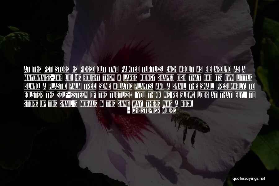Big Rock Quotes By Christopher Moore Big Rock Quotes By Christopher Moore