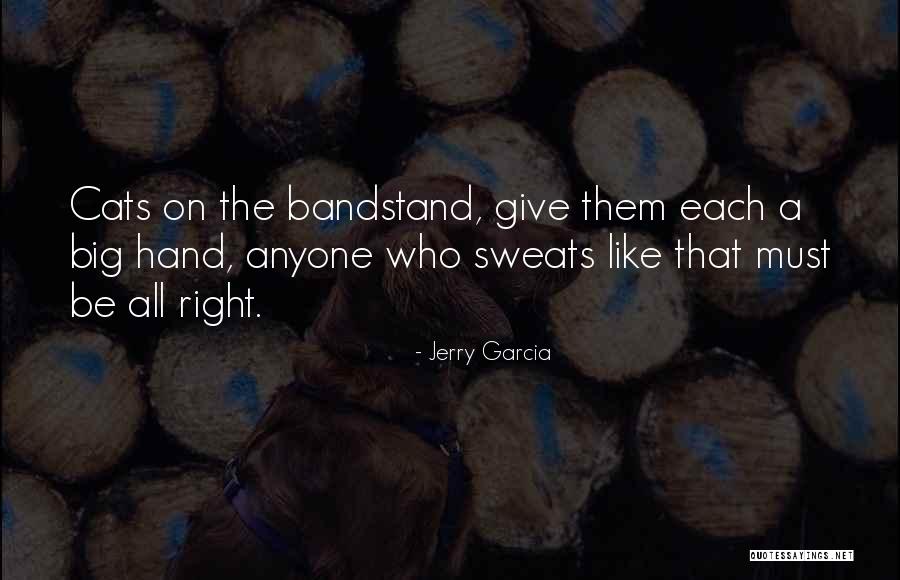 Big Rock Quotes By Jerry Garcia Big Rock Quotes By Jerry Garcia