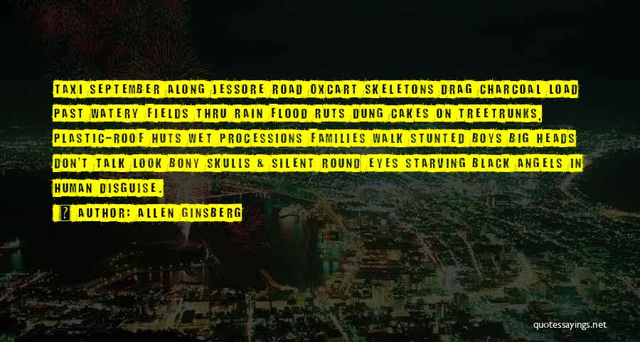 Big Round Eyes Quotes By Allen Ginsberg