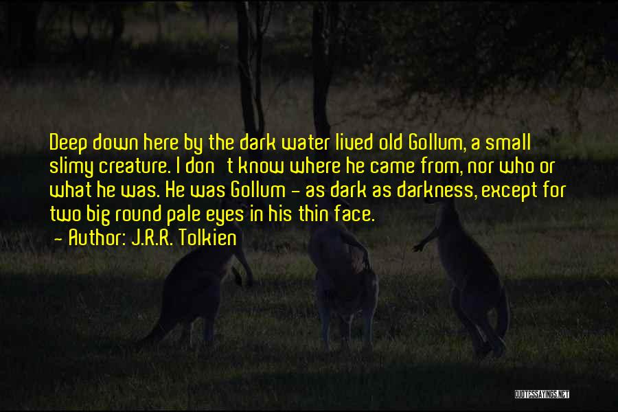 Big Round Eyes Quotes By J.R.R. Tolkien