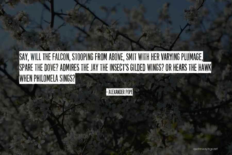 Big Scary World Quotes By Alexander Pope Big Scary World Quotes By Alexander Pope