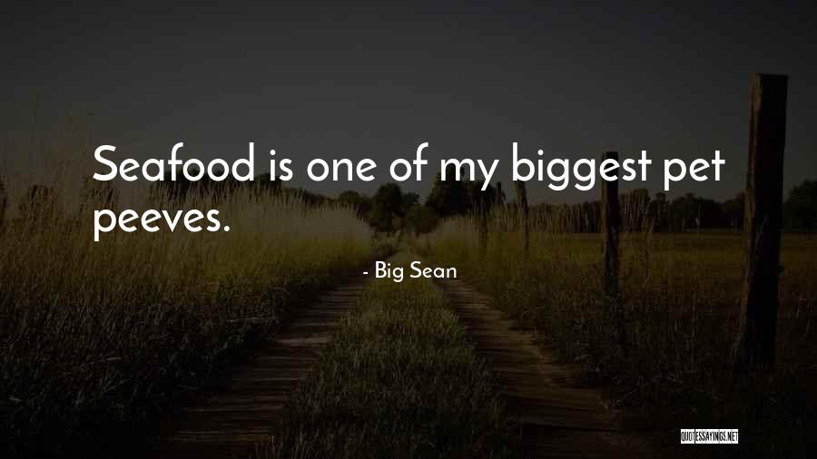 Big Sean Quotes 1565321