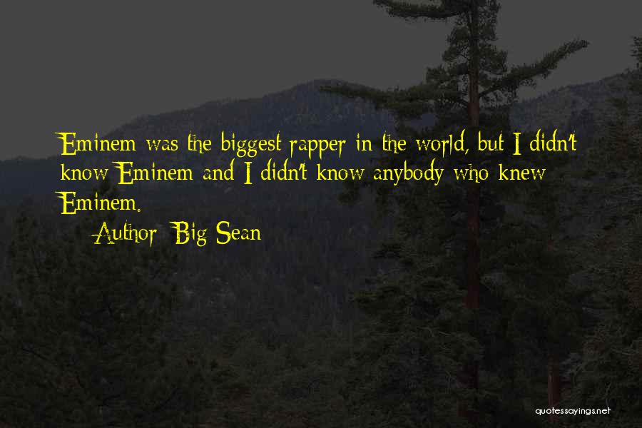 Big Sean Quotes 722506