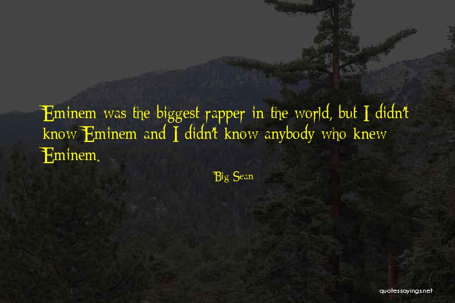 Big Sean Quotes 722506