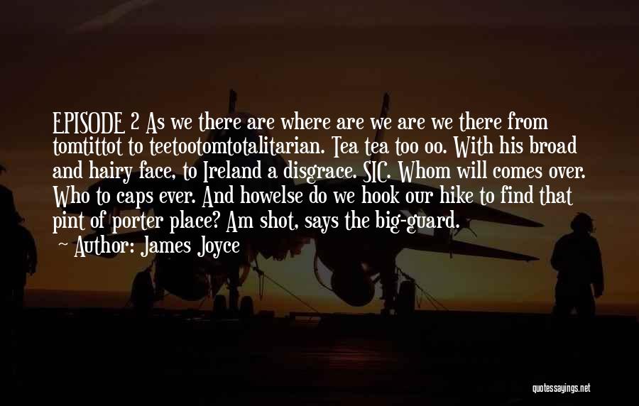 Big Shot Quotes By James Joyce