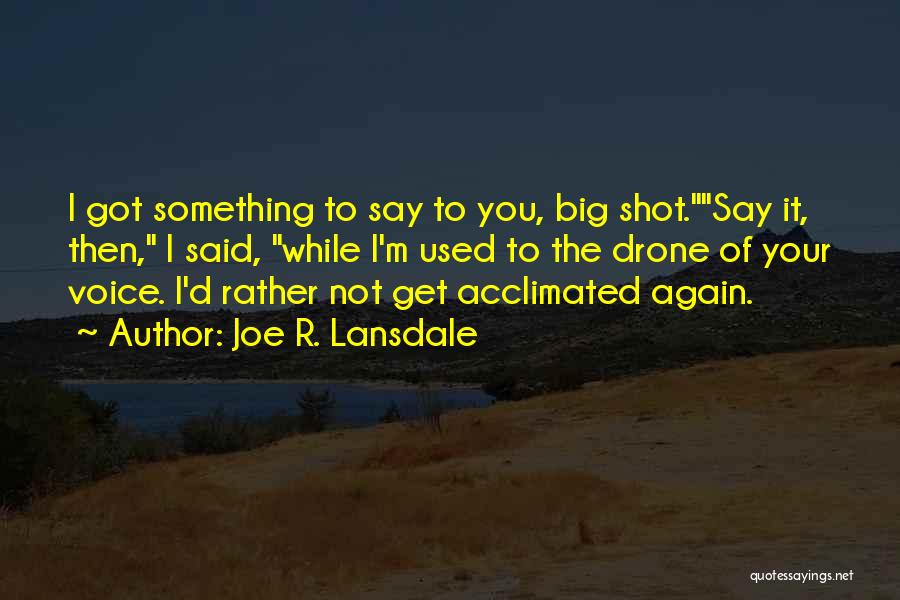 Big Shot Quotes By Joe R. Lansdale