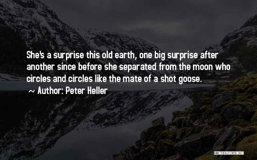 Big Shot Quotes By Peter Heller