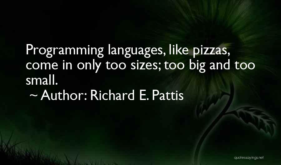 Big Sizes Quotes By Richard E. Pattis