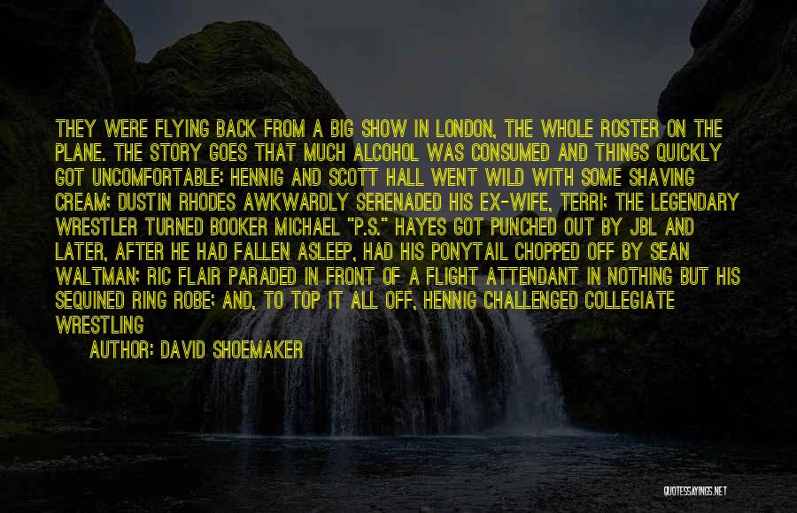 Big Star Quotes By David Shoemaker