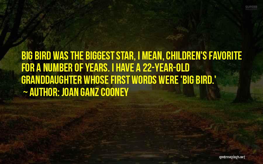 Big Star Quotes By Joan Ganz Cooney