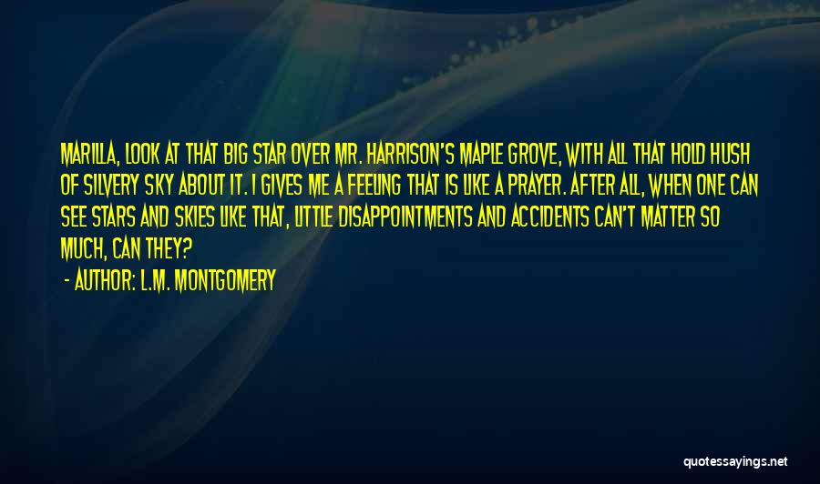 Big Star Quotes By L.M. Montgomery