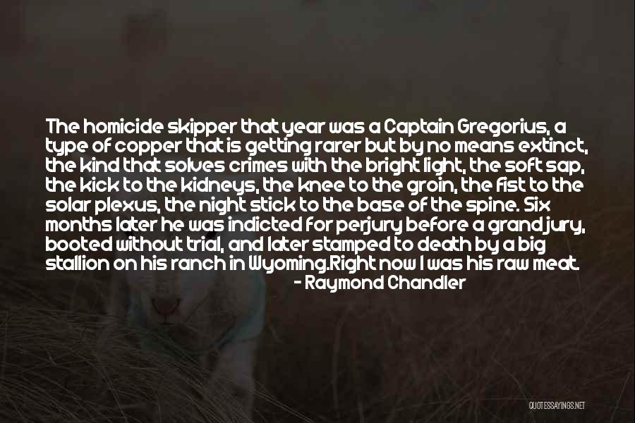 Big Stick Quotes By Raymond Chandler Big Stick Quotes By Raymond Chandler