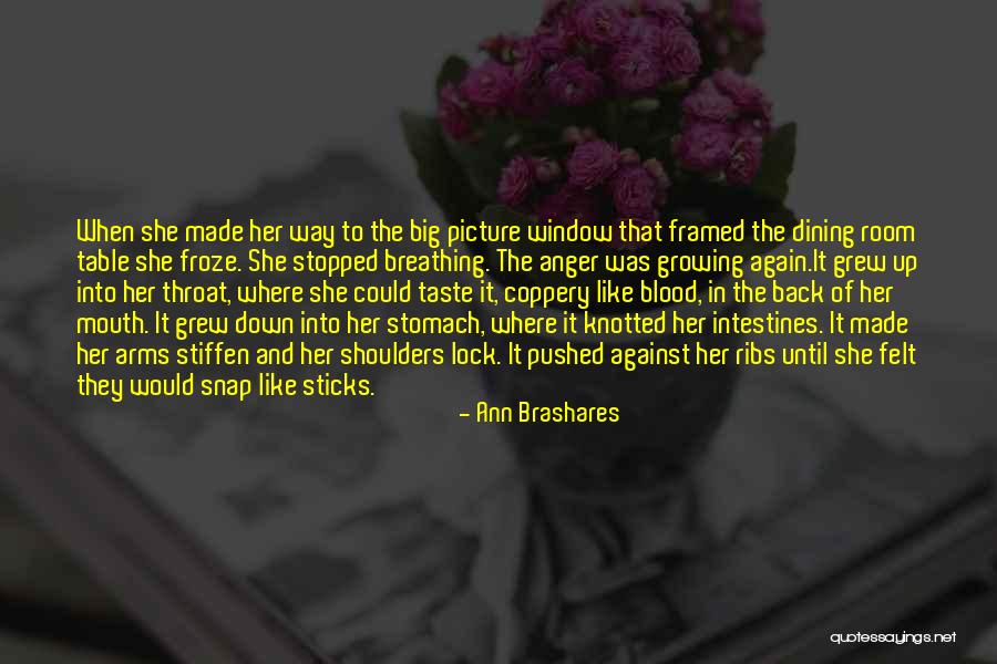 Big Stomach Quotes By Ann Brashares Big Stomach Quotes By Ann Brashares