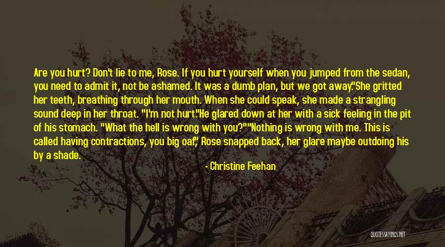 Big Stomach Quotes By Christine Feehan Big Stomach Quotes By Christine Feehan