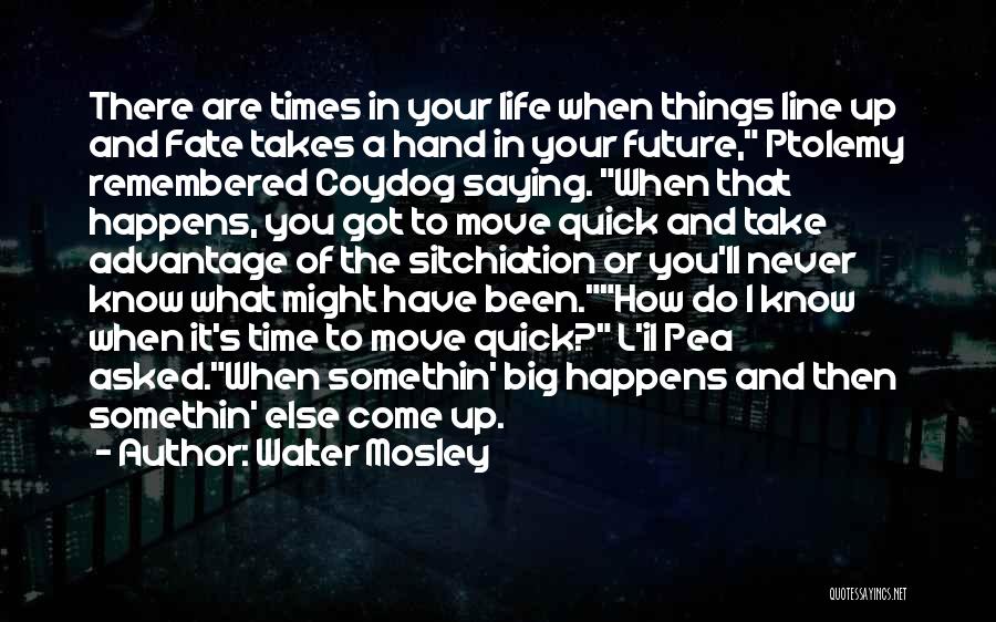 Big Things To Come Quotes By Walter Mosley