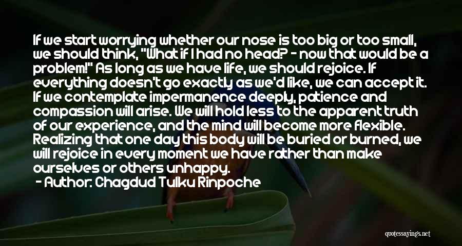 Big Think Quotes By Chagdud Tulku Rinpoche