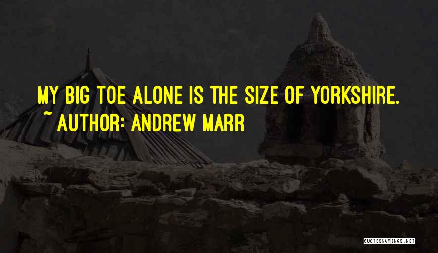 Big Toes Quotes By Andrew Marr