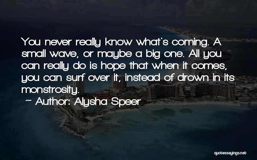 Big Wave Quotes By Alysha Speer