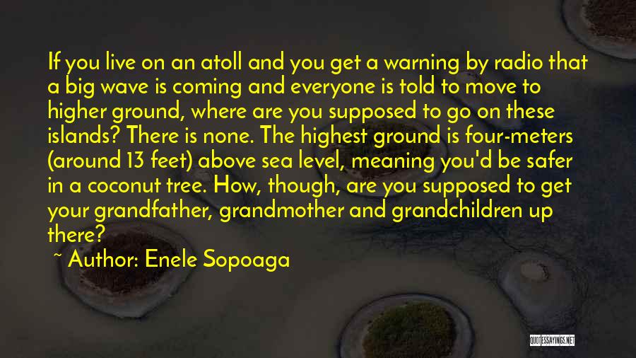 Big Wave Quotes By Enele Sopoaga