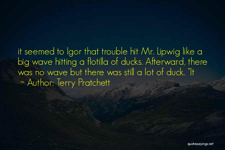 Big Wave Quotes By Terry Pratchett