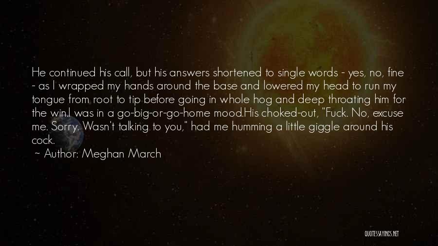 Big Words In Quotes By Meghan March