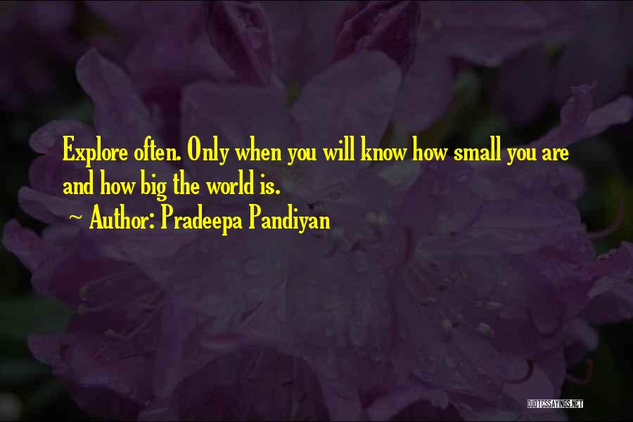 Big World Travel Quotes By Pradeepa Pandiyan