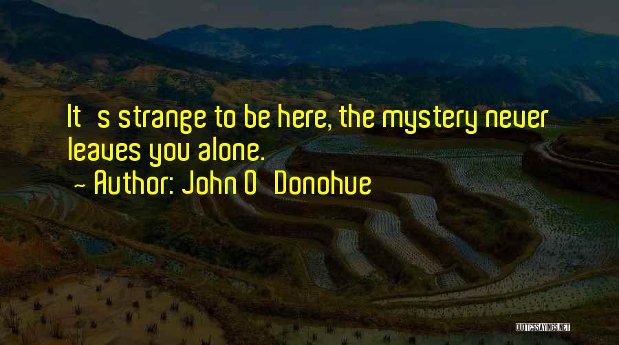 Bigamia Crime Quotes By John O'Donohue