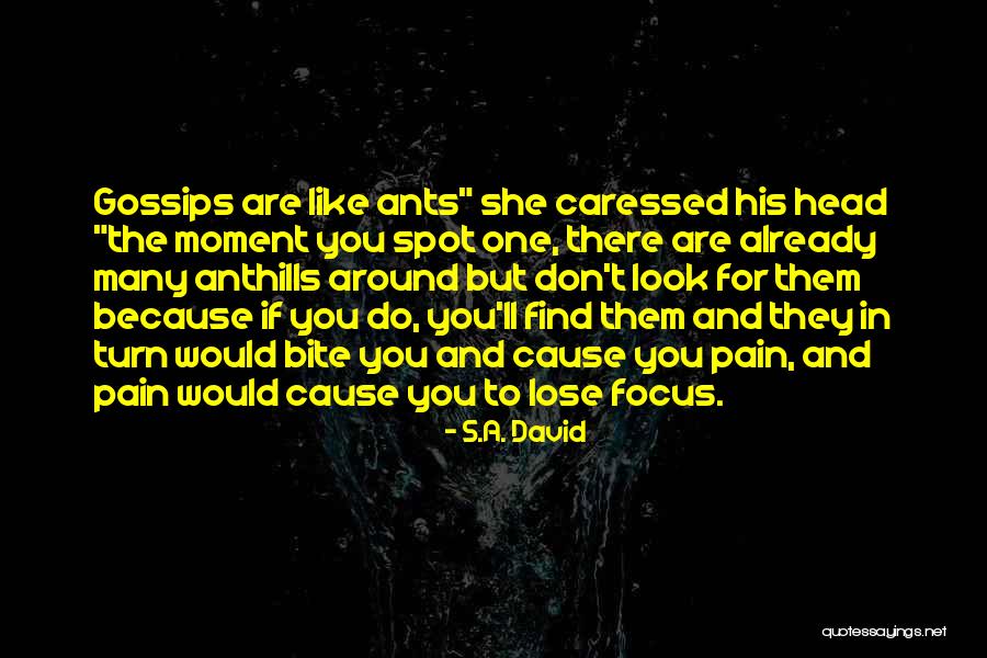 Biggan Quotes By S.A. David Biggan Quotes By S.A. David