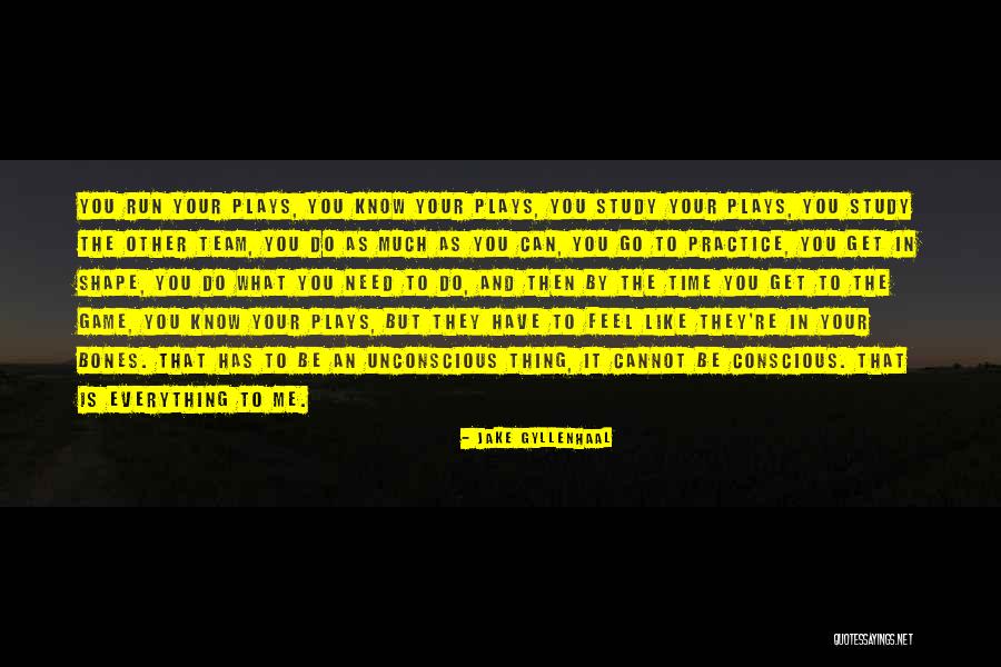 Biggelaar Performance Quotes By Jake Gyllenhaal Biggelaar Performance Quotes By Jake Gyllenhaal