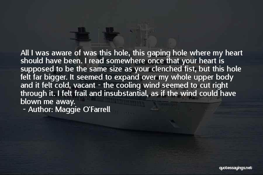 Bigger Heart Quotes By Maggie O'Farrell