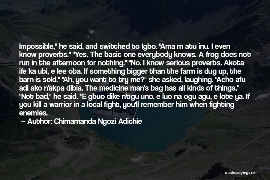 Bigger Man Quotes By Chimamanda Ngozi Adichie