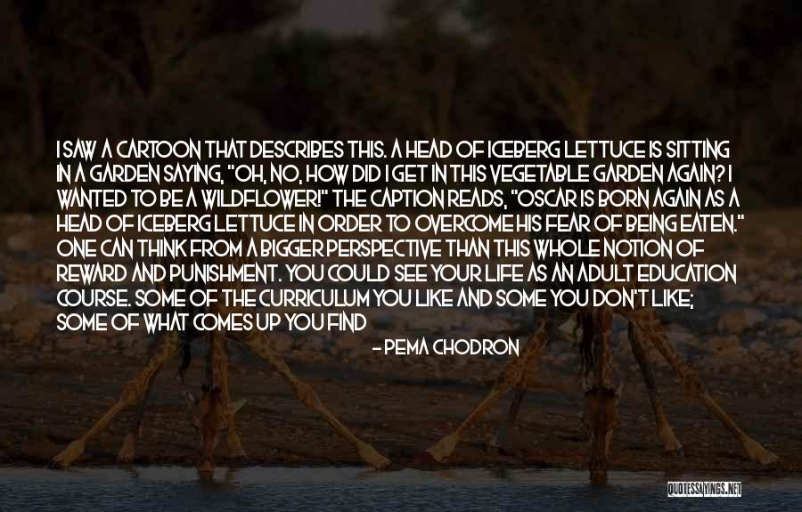 Bigger Perspective Quotes By Pema Chodron Bigger Perspective Quotes By Pema Chodron