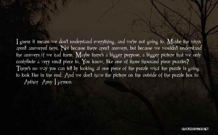 Bigger Picture Quotes By Amy Harmon