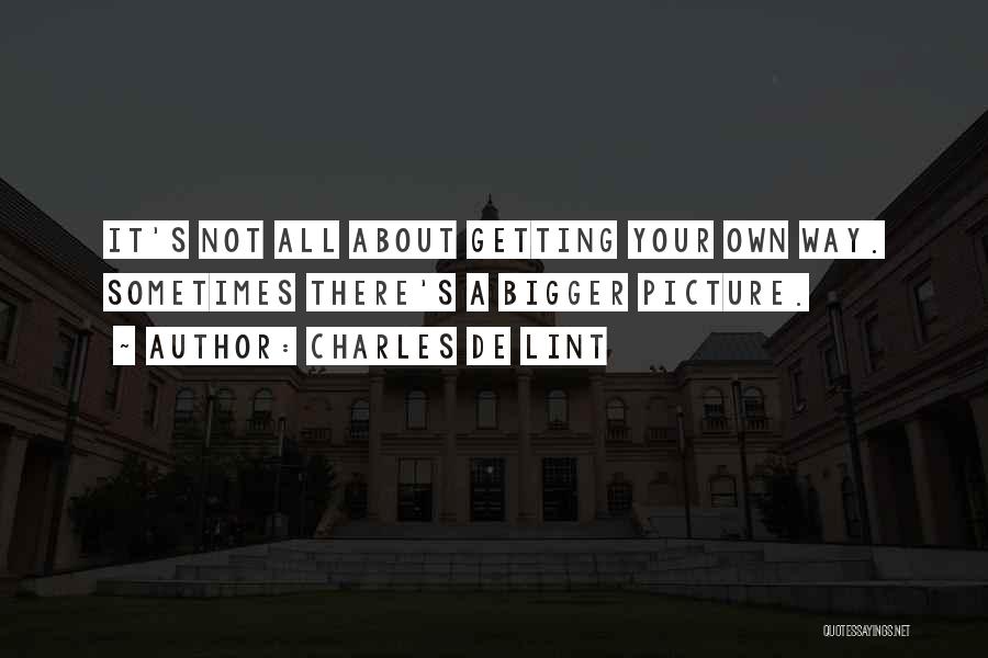 Bigger Picture Quotes By Charles De Lint