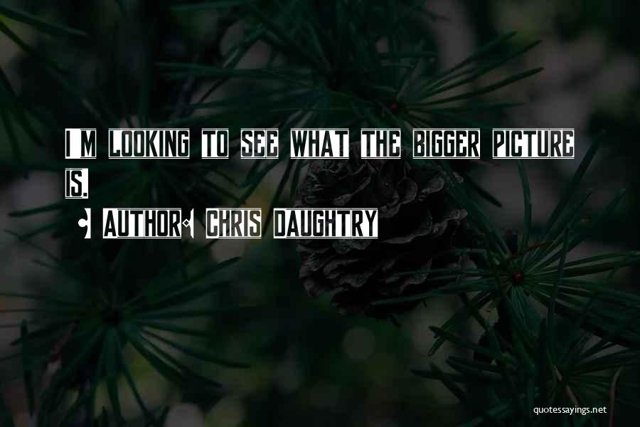 Bigger Picture Quotes By Chris Daughtry