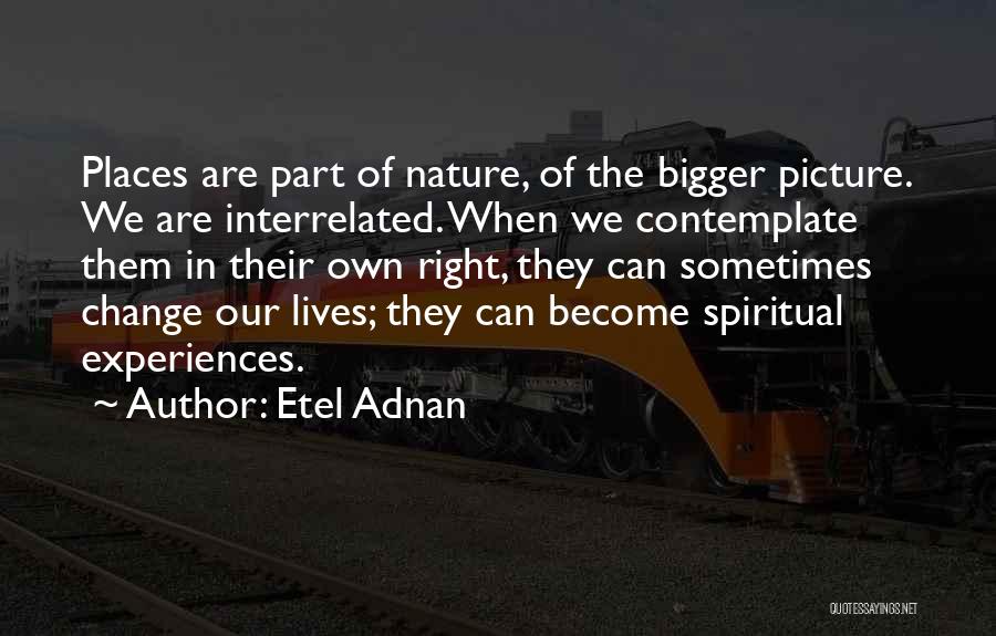 Bigger Picture Quotes By Etel Adnan