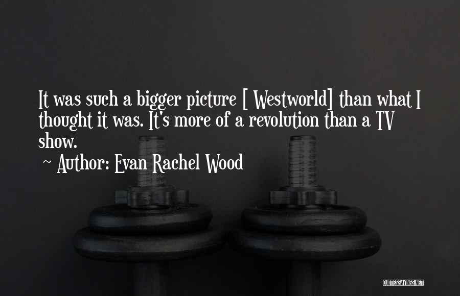 Bigger Picture Quotes By Evan Rachel Wood