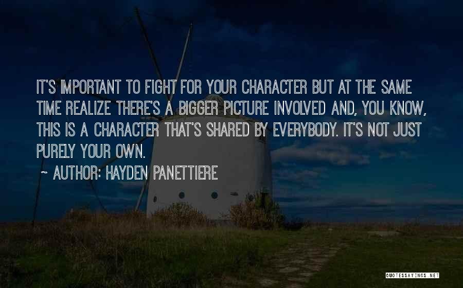 Bigger Picture Quotes By Hayden Panettiere