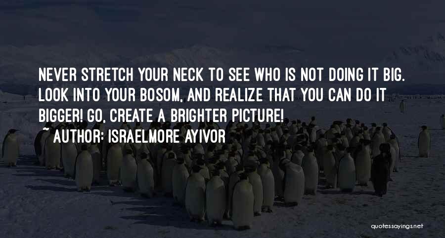 Bigger Picture Quotes By Israelmore Ayivor