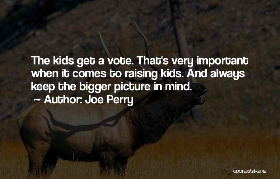 Bigger Picture Quotes By Joe Perry