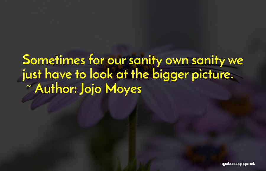 Bigger Picture Quotes By Jojo Moyes