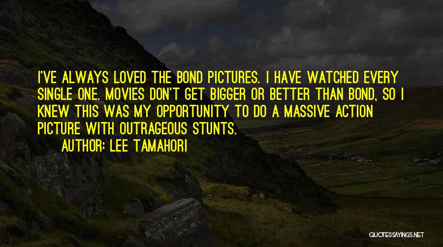 Bigger Picture Quotes By Lee Tamahori