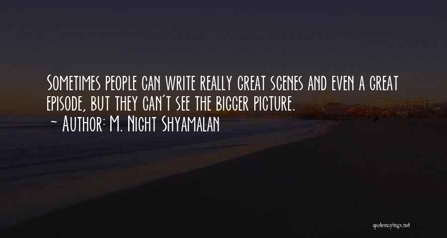 Bigger Picture Quotes By M. Night Shyamalan